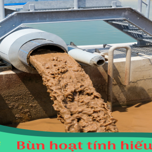 Bùn hoạt tính hiếu khí