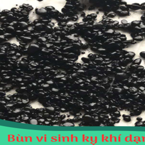 Bùn vi sinh kỵ khí dạng hạt