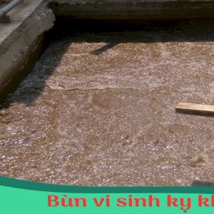 Bùn vi sinh kỵ khí