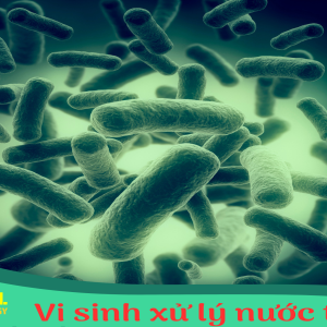 Vi sinh xử lý nước thải nhập khẩu