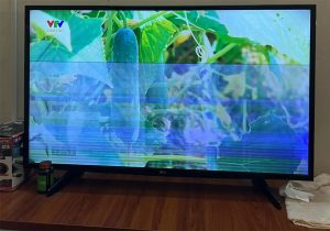 Nguyên nhân tivi Samsung bị mất màu, nhạt màu
