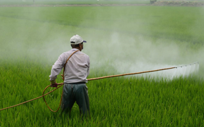 Ứng dụng quan trọng trong nông nghiệp của Polyethylene Glycol 